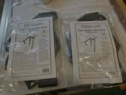 Photo of free Car Safety Harness for Dogs (Harbor Area) #1