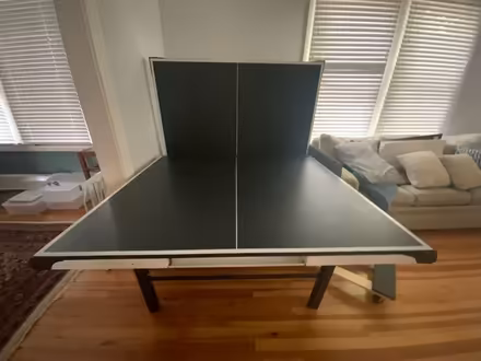Photo of free Ping Pong Table (Mclean near Great Falls) #2