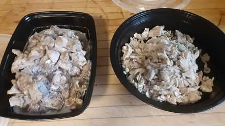 Photo of free Frozen dog food (Southdown and Truscott) #1