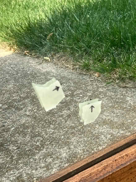 Photo of free Large mirror (Livonia) #2