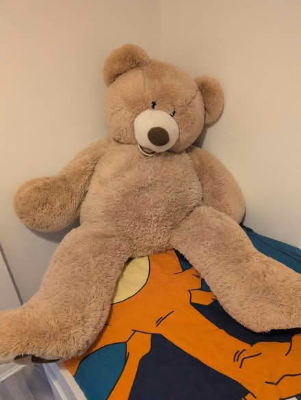 Photo of free Giant teddy bear (CM18) #1