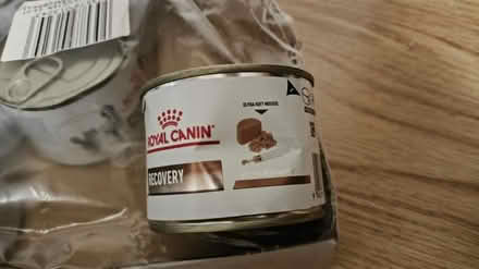 Photo of free Dog/cat recovery food (Se1 8qt) #3