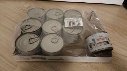 Photo of free Dog/cat recovery food (Se1 8qt) #1