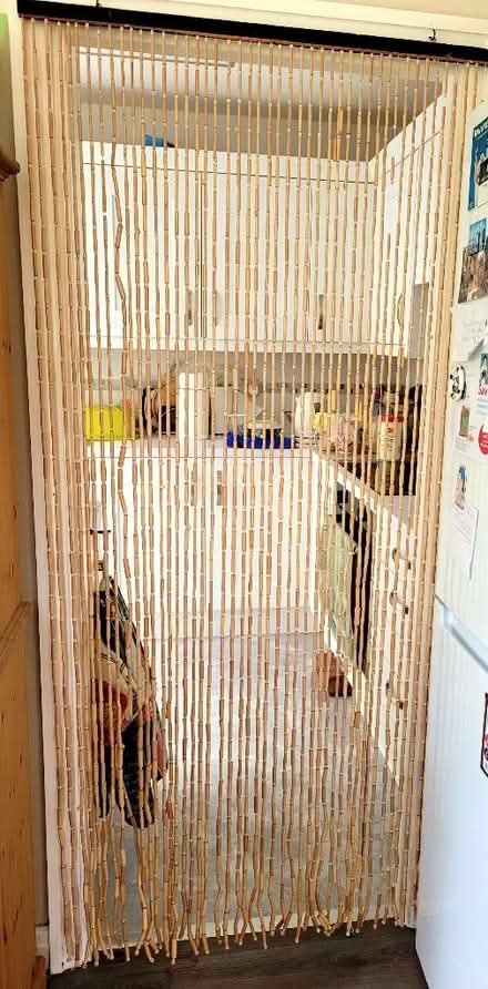 Photo of free Doorway fly screen (Cookridge LS16) #1
