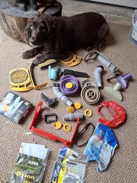 Photo of free Dyson DC01 and other spares (Threemilestone Truro) #2