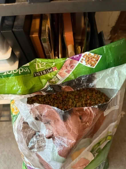 Photo of free Cat food (Glenolden, PA) #2