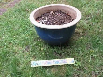 Photo of free flower pot 12 (North Cambridge) #1