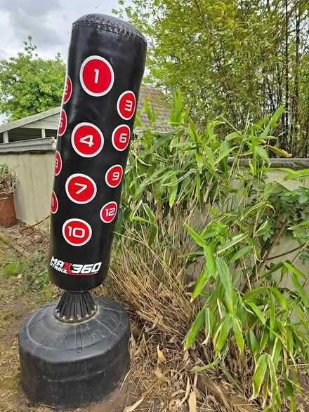 Photo of free standing punch bag (Ludlow SY8) #4