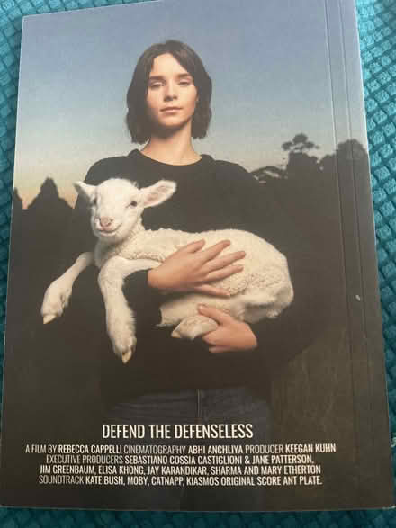 Photo of free Slay - film book (SW11) #2