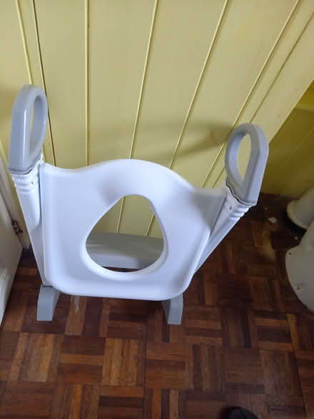 Photo of free Toddler toilet seat (Twyford RG10) #2