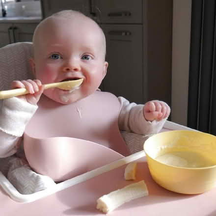 Photo of Baby weaning bits (Marshalswick AL4) #1