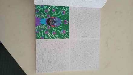 Photo of free Book of colour-by-number geometric wild animals. (Fulham Palace Rd SW6) #2