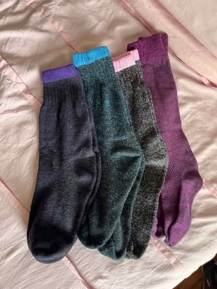 Photo of free Winter socks (Brighton 15th St.) #1