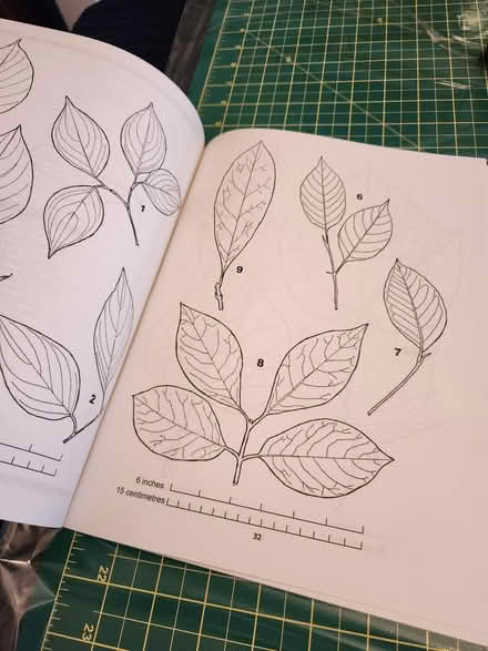 Photo of free Book on Trees and Leaves (Pharmacy & Sheppard) #3