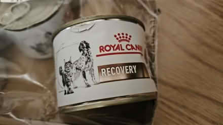 Photo of free Dog/cat recovery food (Se1 8qt) #2