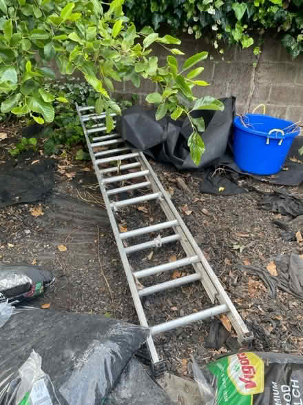 Photo of free Ladder (Richmond) #1