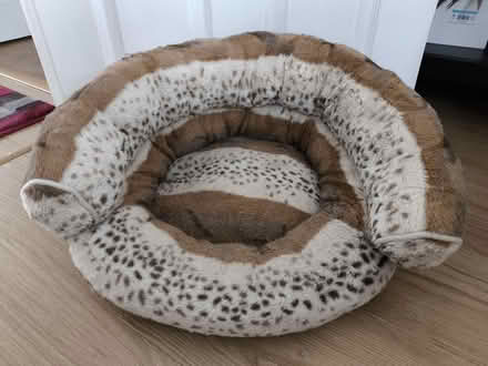 Photo of free Well used Cat/small pet bed (Se1 8qt) #1