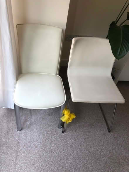 Photo of free 2 cream chairs (Horsforth LS18) #1