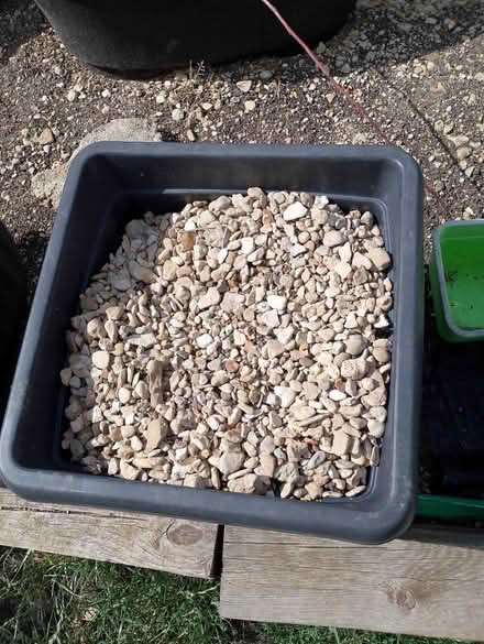 Photo of free Gravel beige (Swindon SN22JW) #1