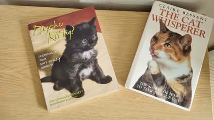 Photo of free Cat behaviour books x 2 (Dunkeswell nr Honiton) #1