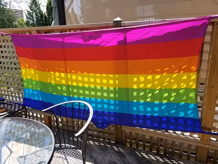 Photo of free Pride banner (Pape/Cosburn) #3
