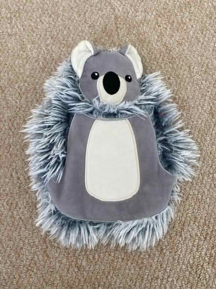Photo of free Koala hot water bottle (Blacklands TN34) #1