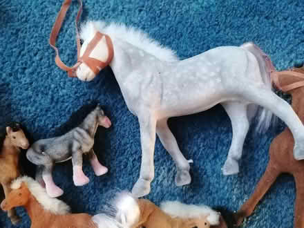 Photo of free Bundle of toy horses (Presteigne LD8) #2