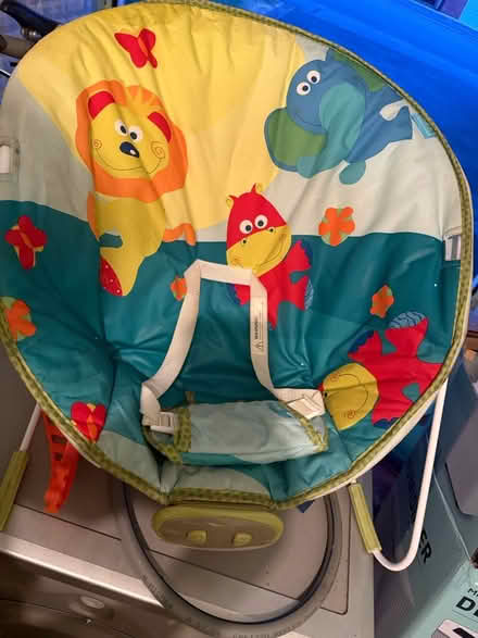 Photo of free Baby’s boucer (St Asaph) #1