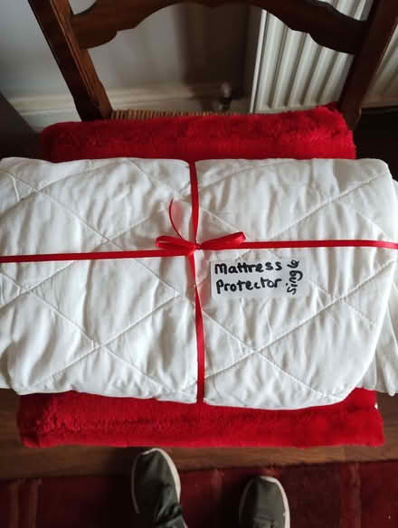 Photo of free single mattress protector (Edginswell TQ2) #1