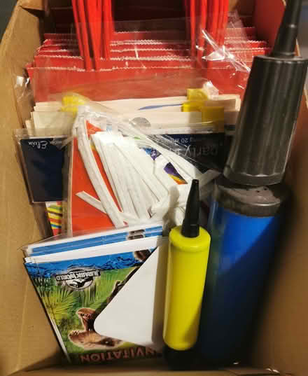 Photo of free Assorted children's party items (Woodcote RG8) #1