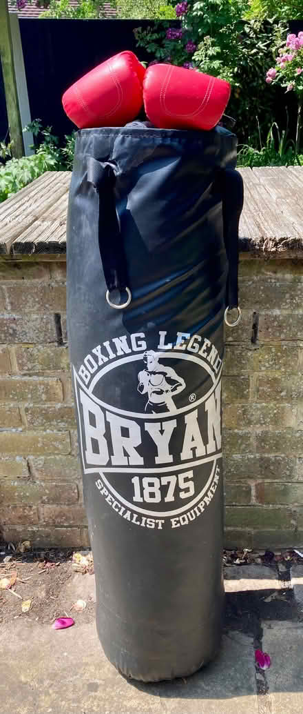 Photo of free Punch Bag (CO7) #1