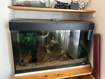 Photo of free Fish tank (Streatham Hill SW16) #1