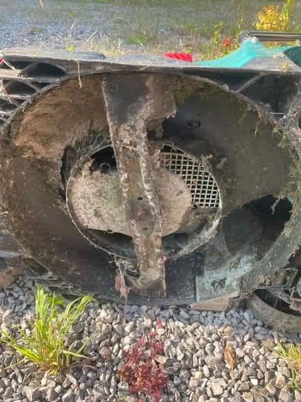 Photo of free Bosch lawnmower (North End BS21) #4