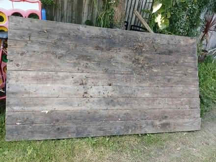 Photo of free Wood (Buxted TN22) #1