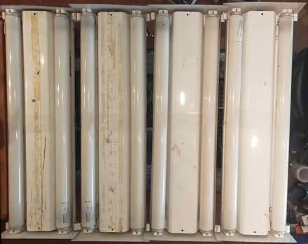 Photo of free Fluorescent Lights w/ Grow Bulbs (Happy Creek Road, Front Royal) #1