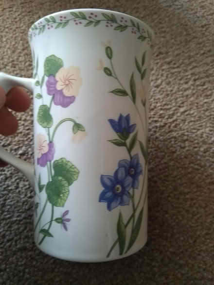 Photo of free Flower Cup (Leighton buzzard LU7) #1