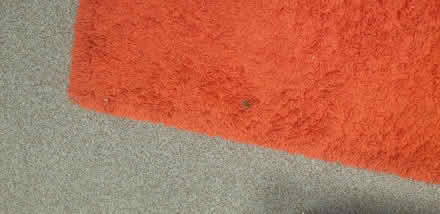 Photo of free Large Red Rug (Deptford SE8) #3