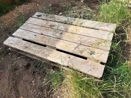 Photo of free 2 wooden pallets (Shippon OX14) #2