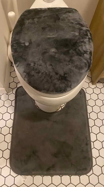 Photo of free grey bath mat set - used (Bay Ridge) #1