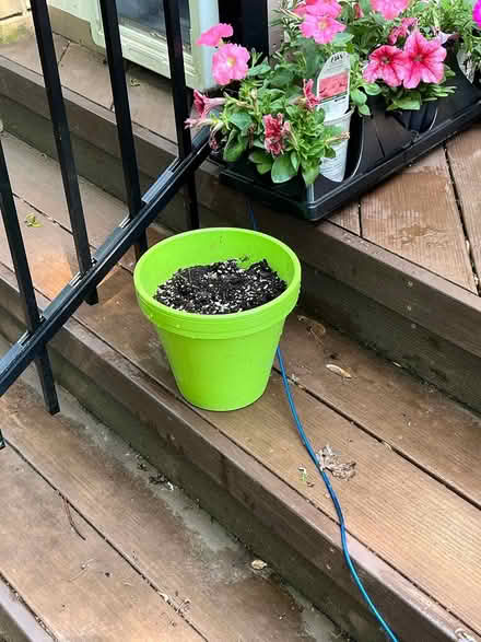 Photo of free bright green pot, great shape (northeast ann arbor) #1