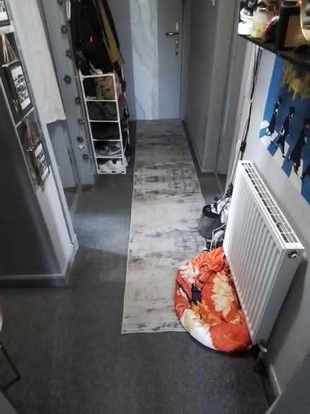 Photo of free Hall Runner Rug (Granton EH5) #1
