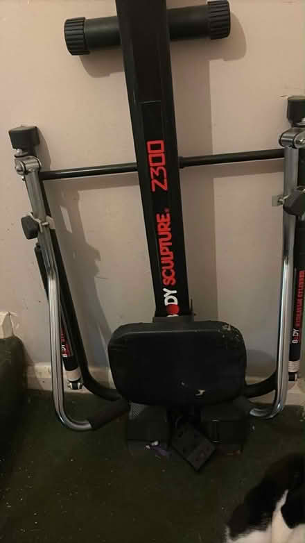 Photo of free Rowing Machine (New Eltham SE9) #1