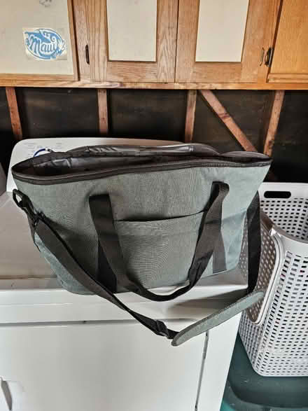 Photo of free Insulated Bag (South San Francisco) #1