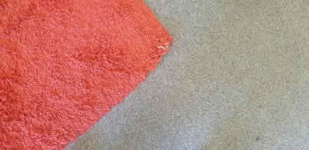 Photo of free Large Red Rug (Deptford SE8) #2