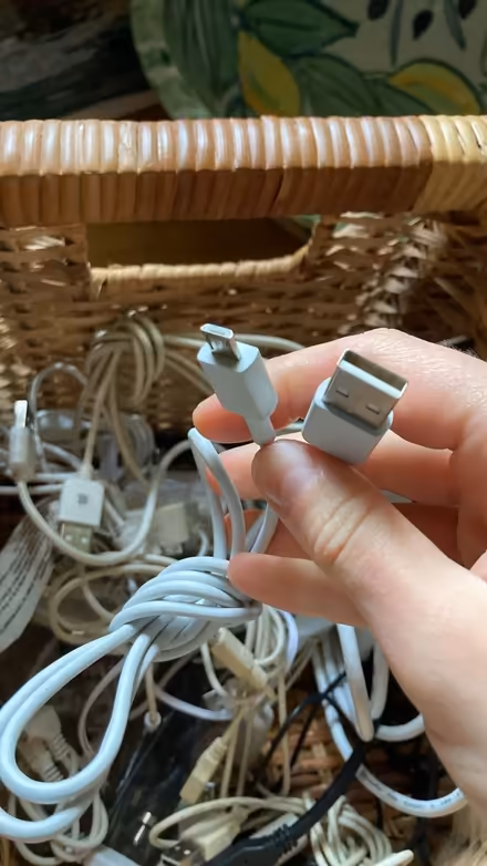 Photo of free Electrical cables (Crockerton, BA12) #4