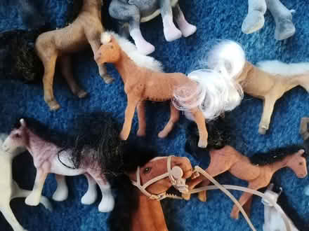 Photo of free Bundle of toy horses (Presteigne LD8) #4
