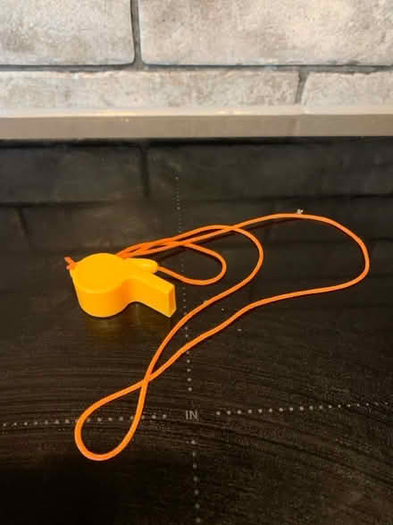 Photo of free Plastic whistle (Tilehurst RG30) #1