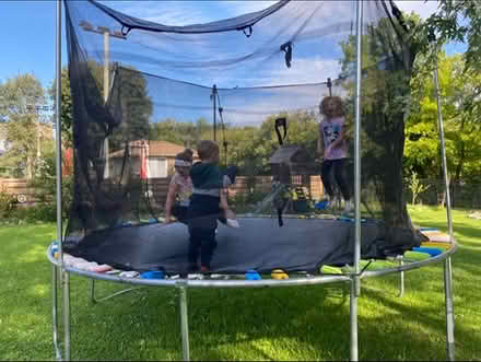 Photo of free Trampoline (Milton) #1