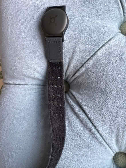 Photo of free OrangeTheory monitor (Lake Merritt) #1