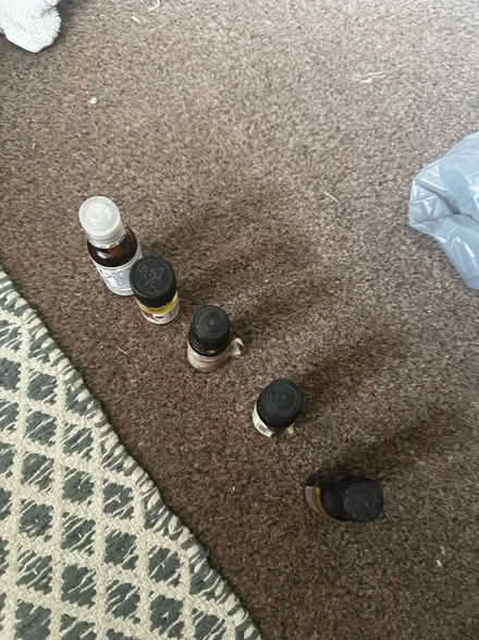 Photo of free essential oils (se9 3hz) #3